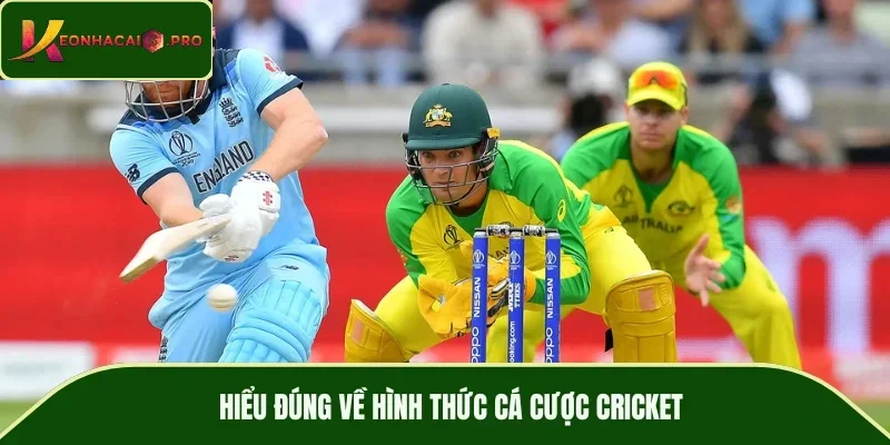 Hiểu đúng về hình thức cá cược cricket