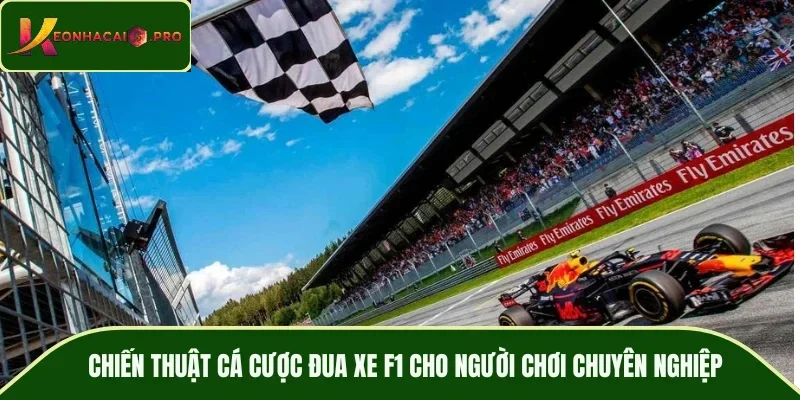 Chiến thuật cá cược đua xe F1 cho người chơi chuyên nghiệp