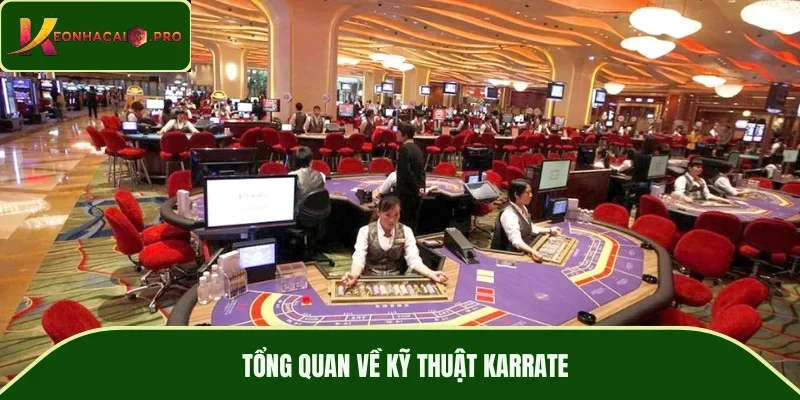Tổng quan về kỹ thuật Karrate