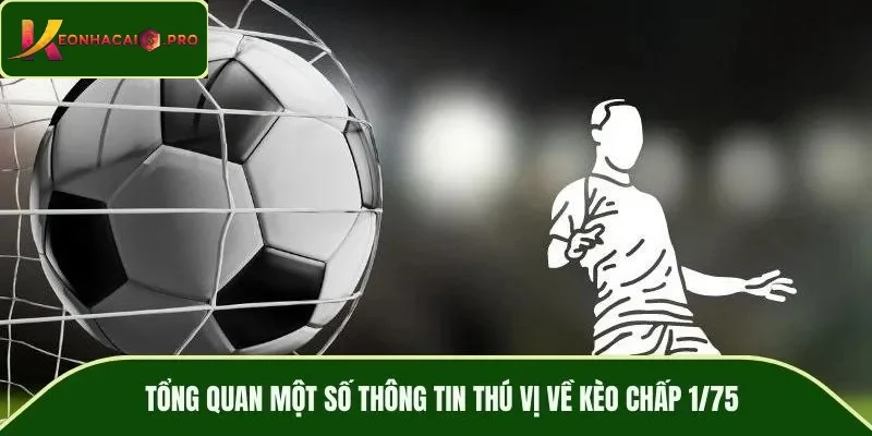 Tổng quan một số thông tin thú vị về kèo chấp 1/75