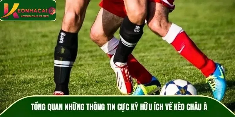 Thông tin về kèo nhà cái Châu Á