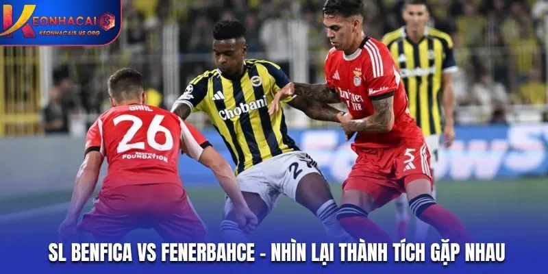 SL Benfica vs Fenerbahce - thống kê thành tích gặp nhau