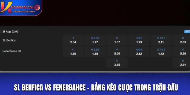 Soi kèo SL Benfica vs Fenerbahce - bảng tỷ lệ
