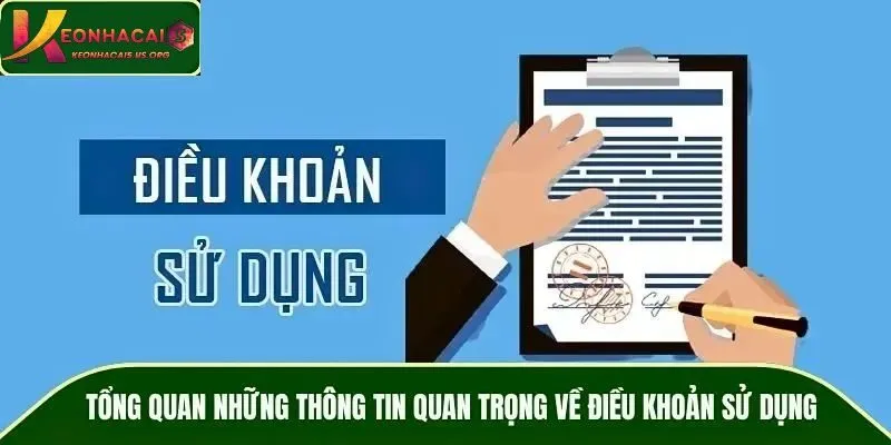Tổng quan những thông tin quan trọng về điều khoản sử dụng